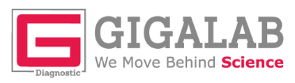 GigaLab